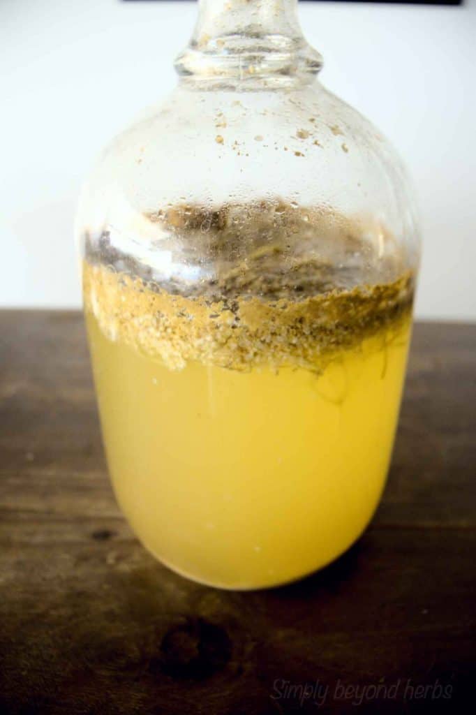 cider elderflower