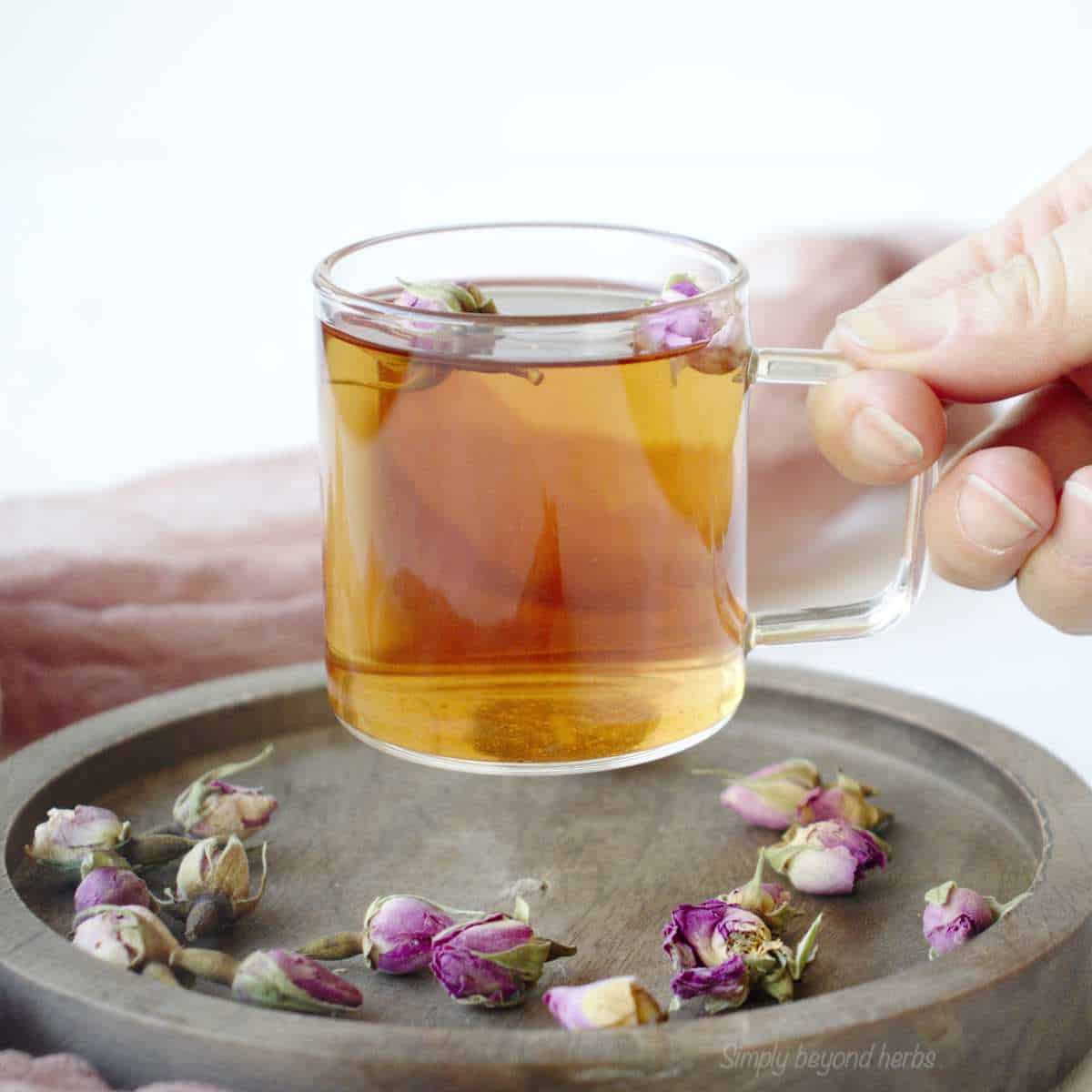 How to make rose tea and its alterations SimplyBeyondHerbs