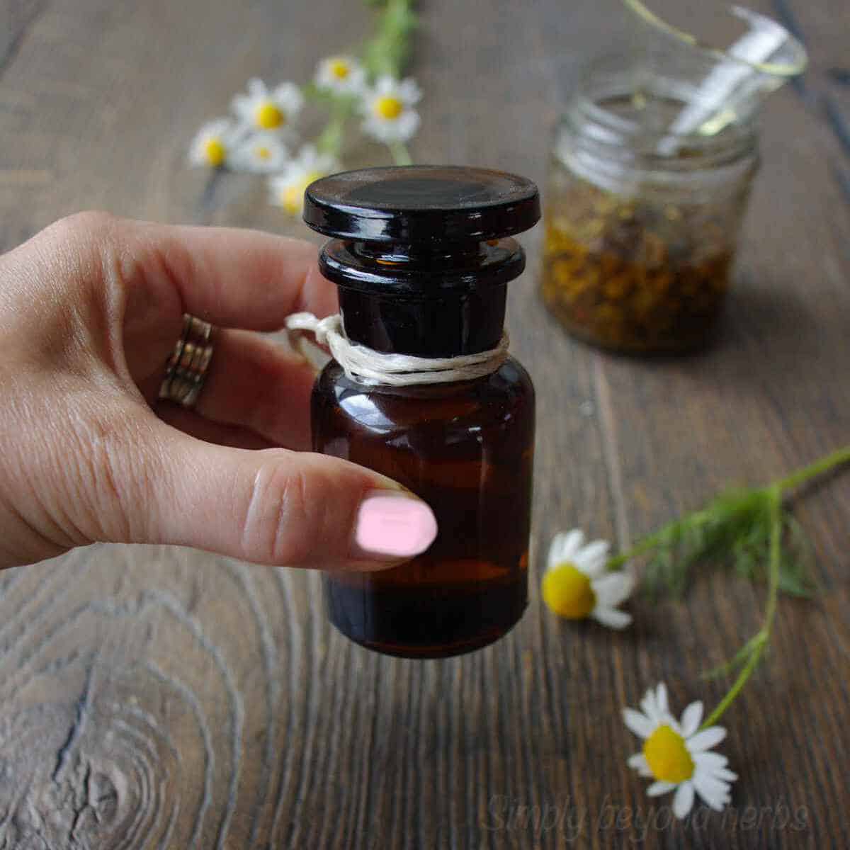 How to make chamomile oil SimplyBeyondHerbs