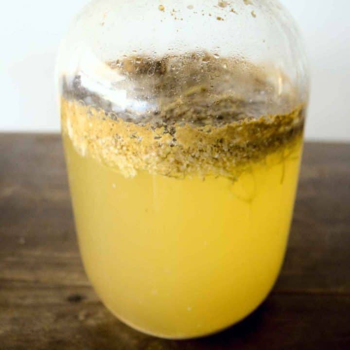 How to make Elderflower Cider-image
