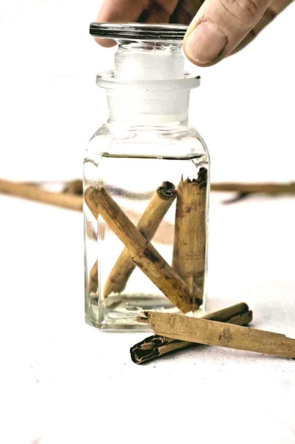 How to make Cinnamon extract and its uses SimplyBeyondHerbs