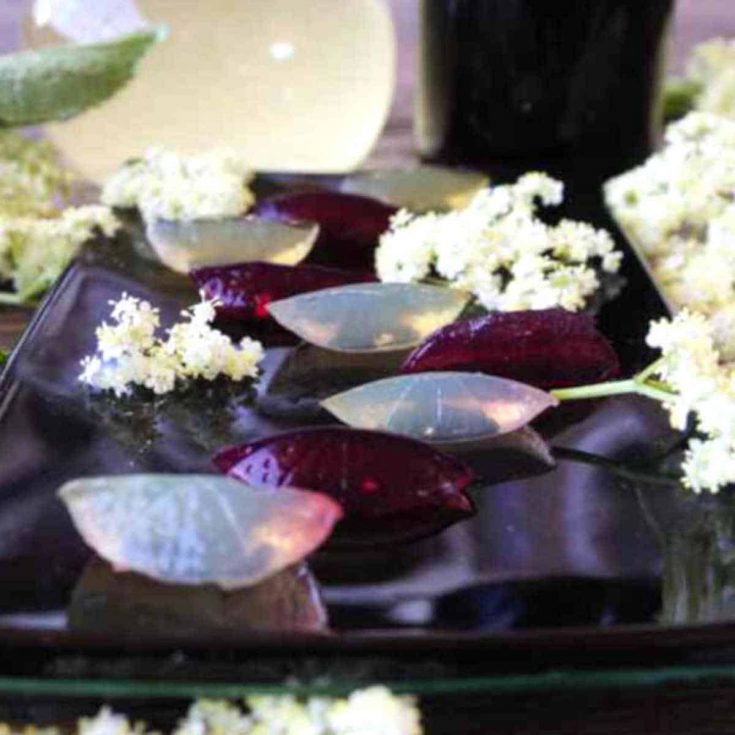 elderberry gummies recipe