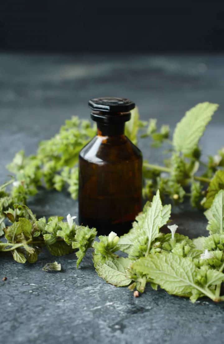 How to make lemon balm oil + 10 ways to use it SimplyBeyondHerbs