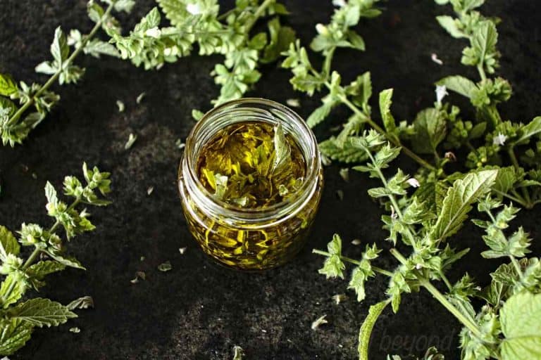 How to make lemon balm oil + 10 ways to use it - SimplyBeyondHerbs