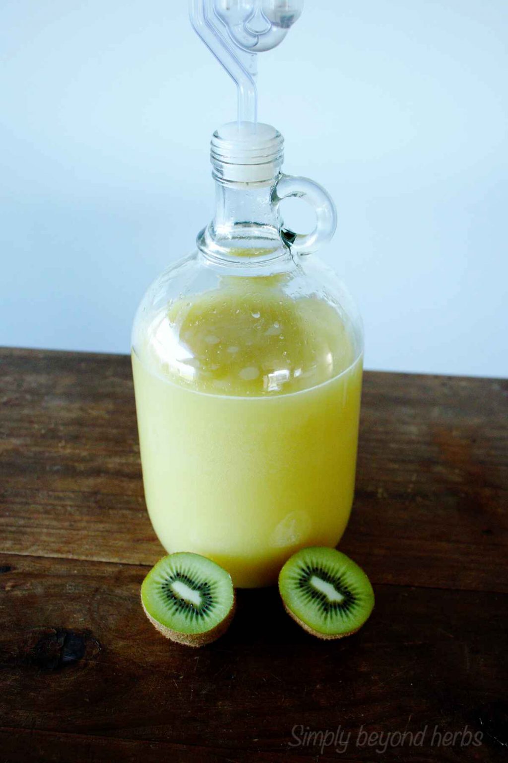 Kiwi wine recipe easy steps with video SimplyBeyondHerbs