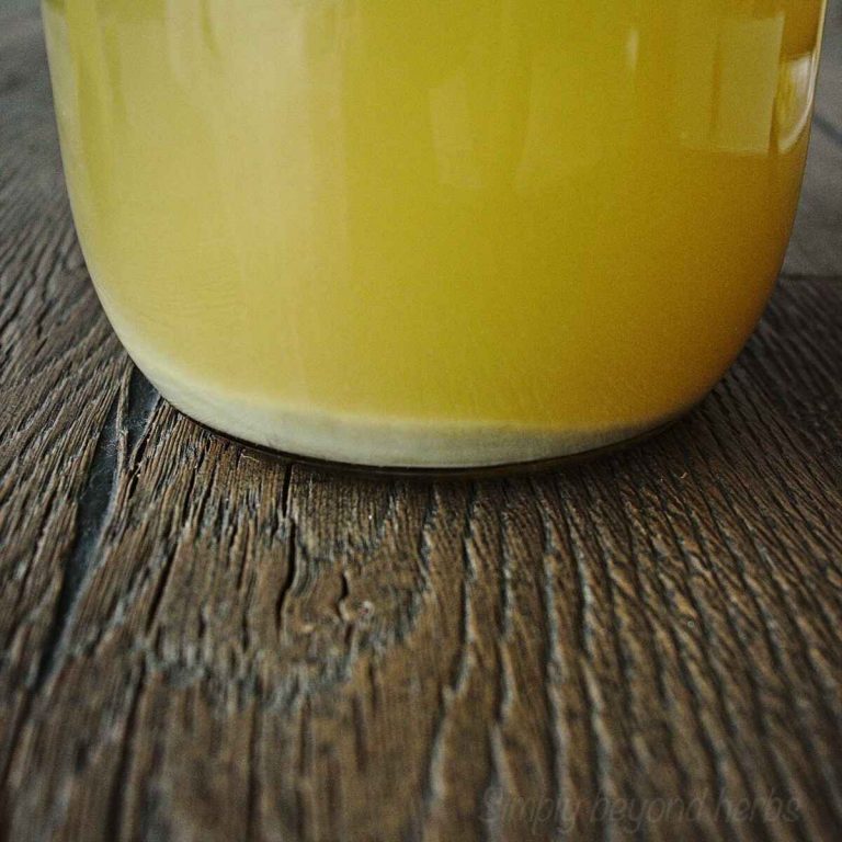 Kiwi wine recipe easy steps with video SimplyBeyondHerbs