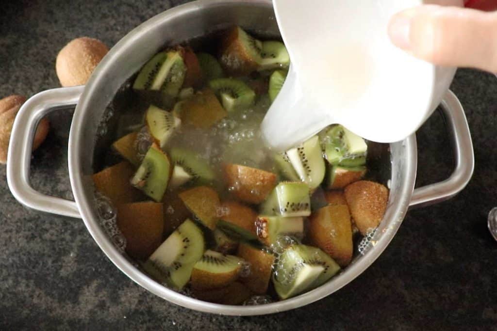 Kiwi wine recipe easy steps with video SimplyBeyondHerbs