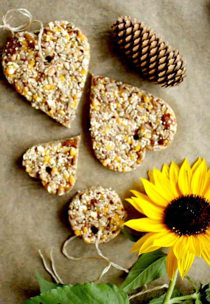 how-to-make-birdseed-ornaments-simplybeyondherbs