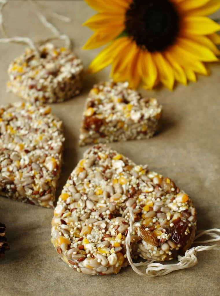 how-to-make-birdseed-ornaments-simplybeyondherbs