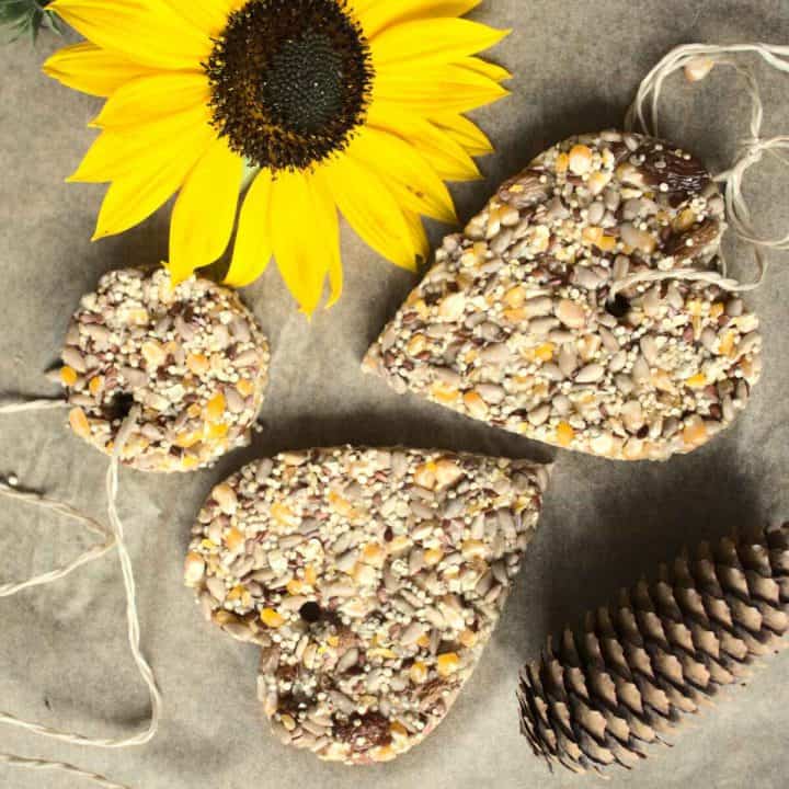 How to make birdseed ornaments - SimplyBeyondHerbs