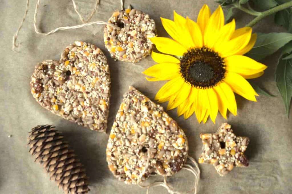 how-to-make-birdseed-ornaments-simplybeyondherbs