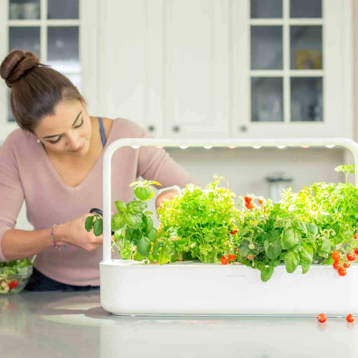 Image for The Smart Garden 9