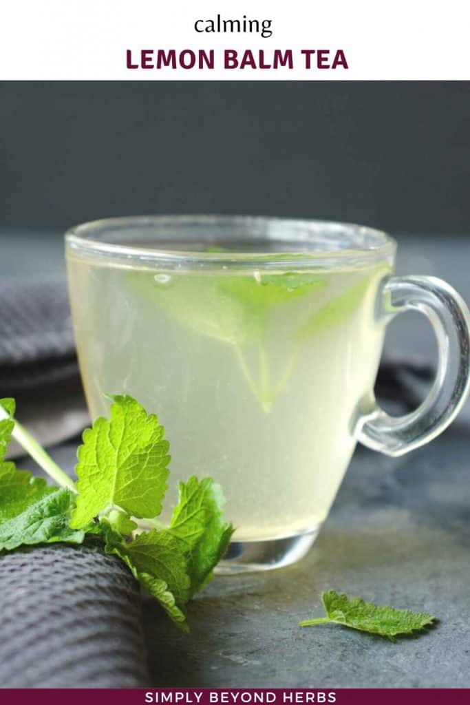 Beauty Brain Lemon Balm Kiwi Tea How to make lemon balm tea - SimplyBeyondHerbs