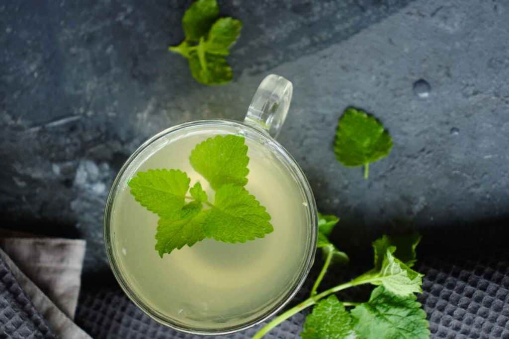 How to make lemon balm tea (3 recipes) SimplyBeyondHerbs