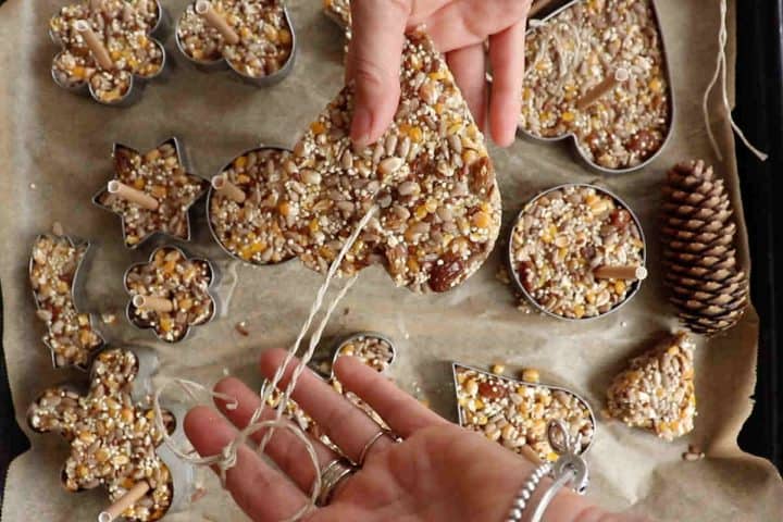 How to make birdseed ornaments - SimplyBeyondHerbs