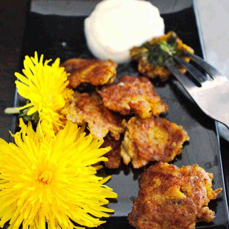 fried dandelions