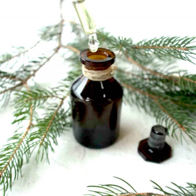 Pine Needle Tincture Recipe. SimplyBeyondHerbs
