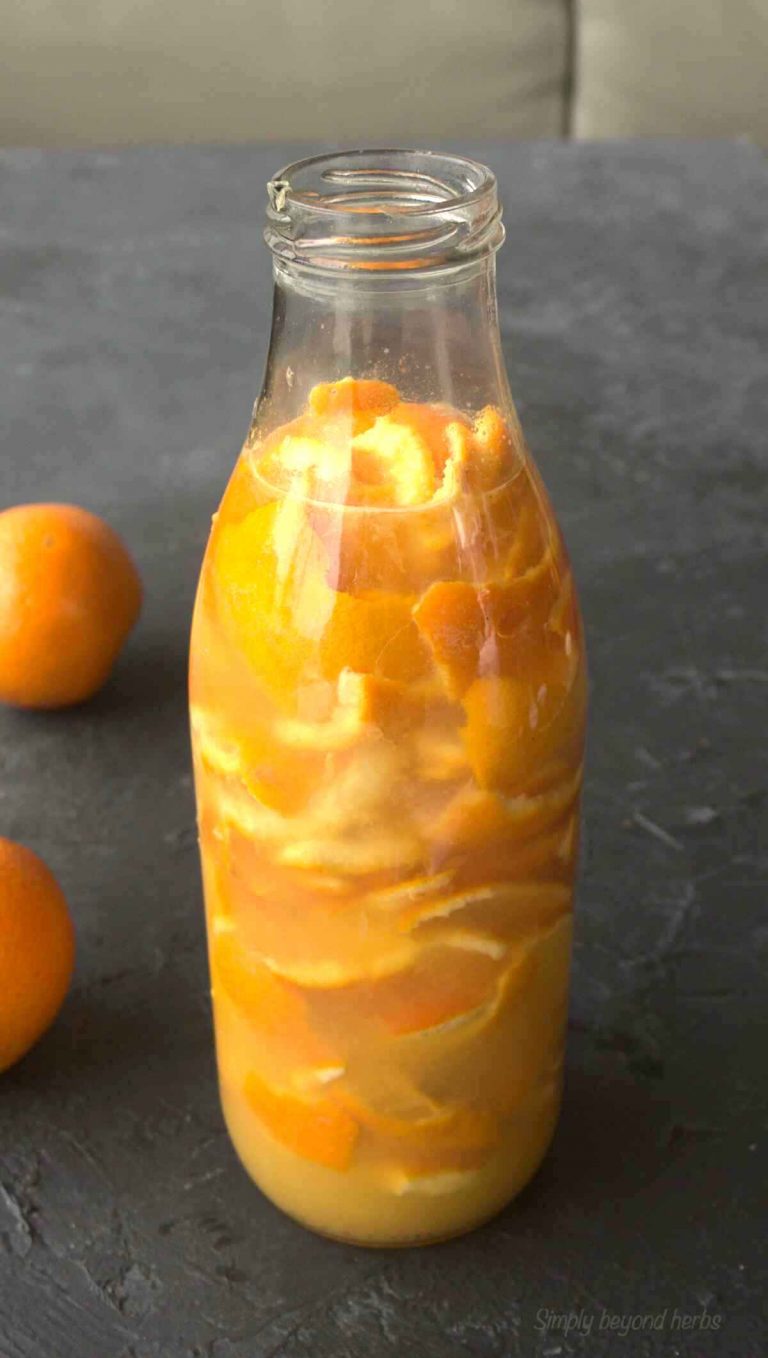 Homemade Orange cordial recipe Orange simple syrup SimplyBeyondHerbs