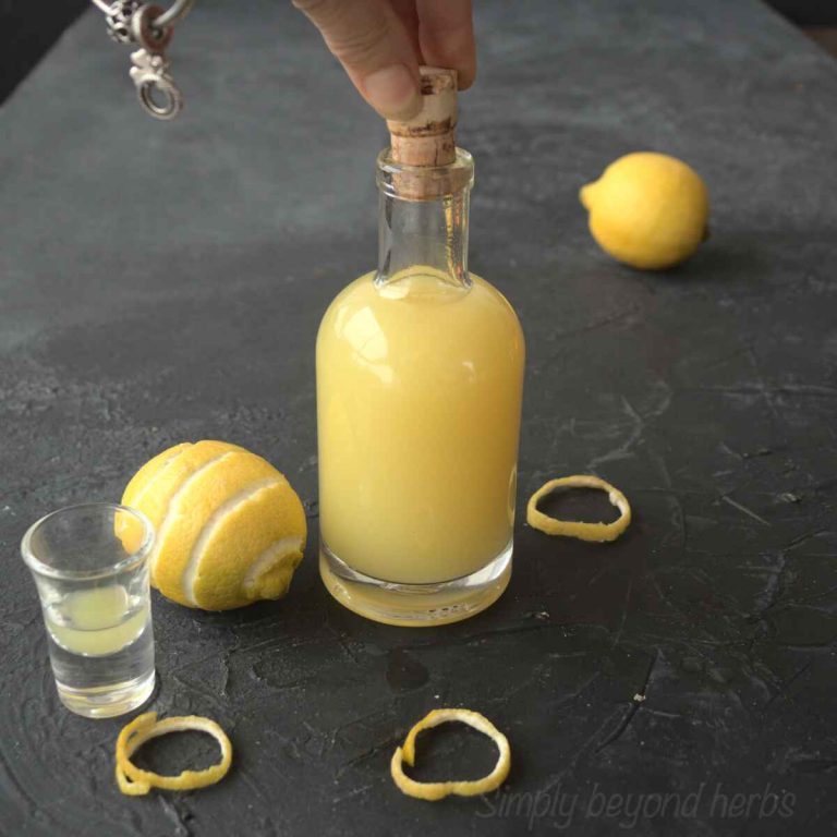 How to make lemon extract recipe and its uses SimplyBeyondHerbs