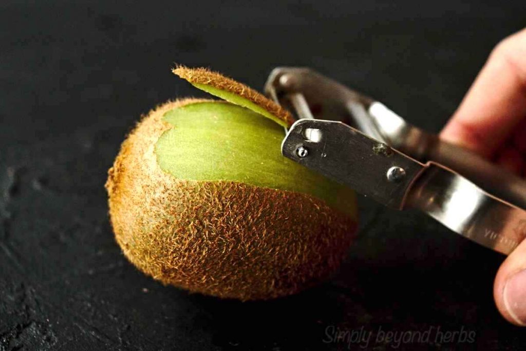 Kiwi juice recipe (with juicer or blender) SimplyBeyondHerbs