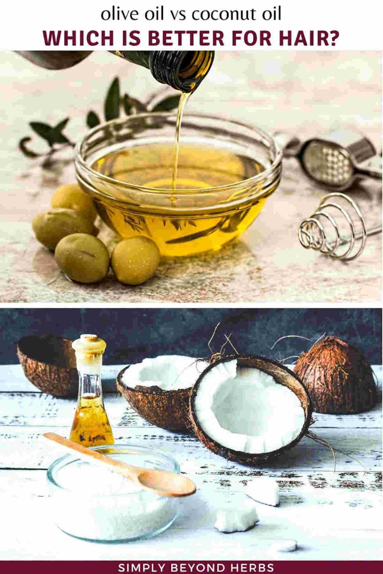 Olive Oil vs Coconut Oil for Hair Which is better for hair? SimplyBeyondHerbs