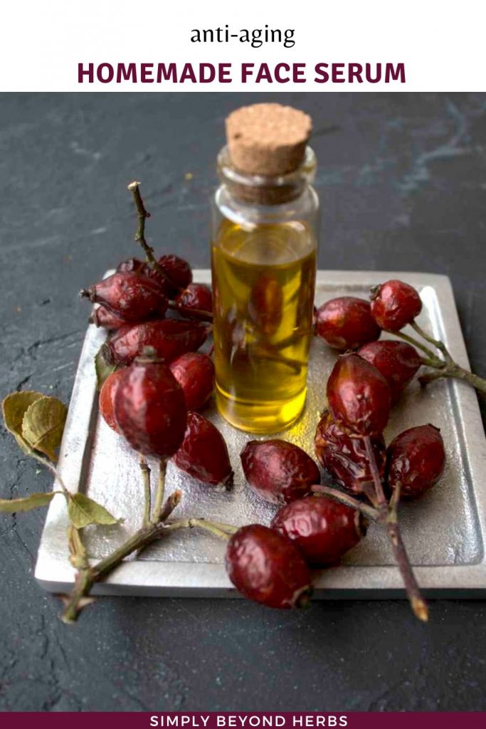 Homemade face serum recipe for every skin type SimplyBeyondHerbs