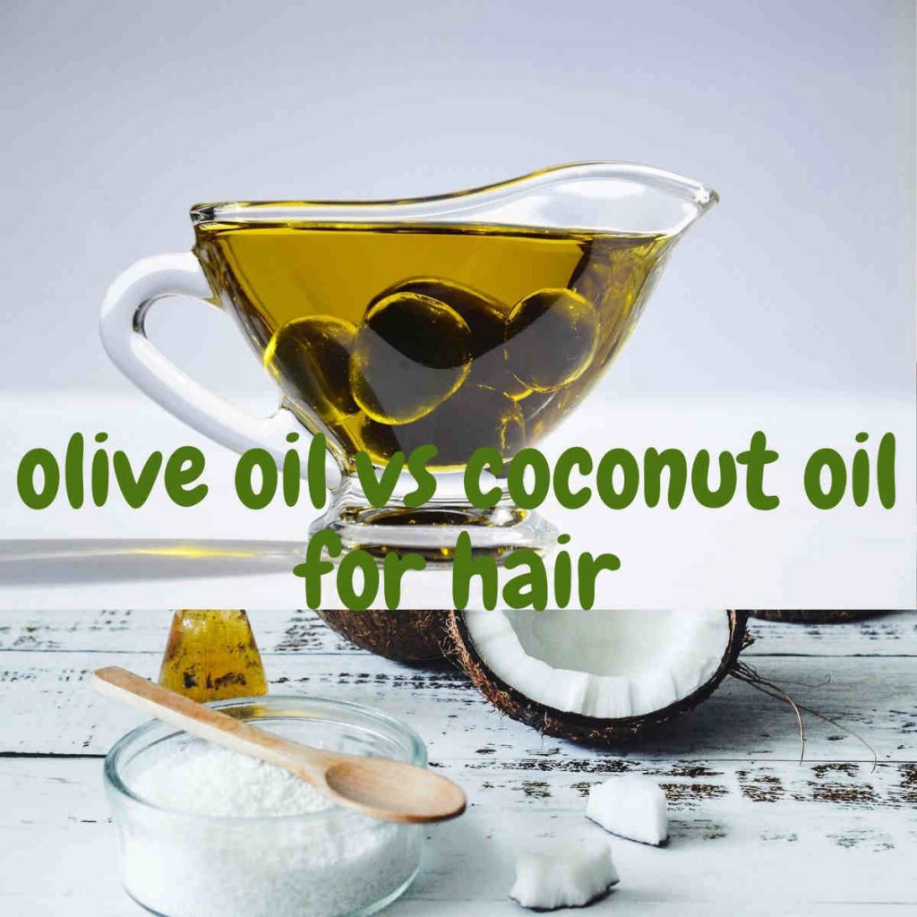 Olive Oil vs Coconut Oil for Hair Which is better for hair? SimplyBeyondHerbs
