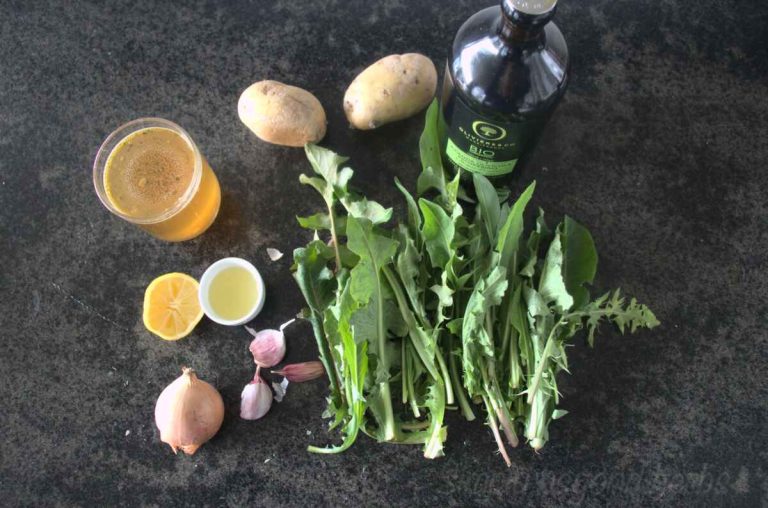 Wild and creamy dandelion soup recipe SimplyBeyondHerbs