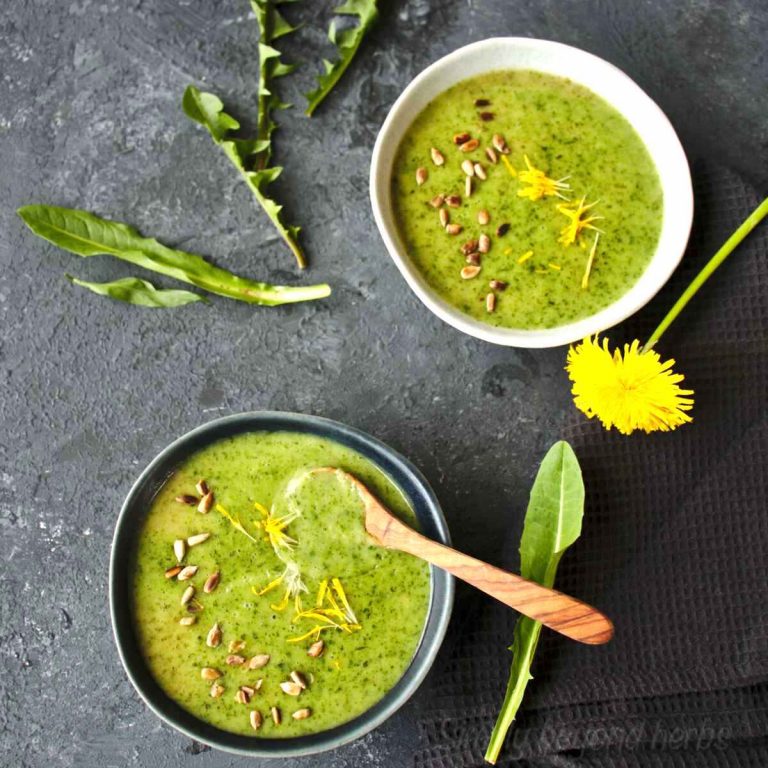 Wild and creamy dandelion soup recipe SimplyBeyondHerbs