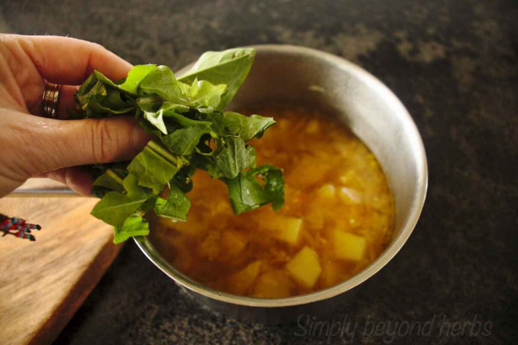 Wild and creamy dandelion soup recipe SimplyBeyondHerbs