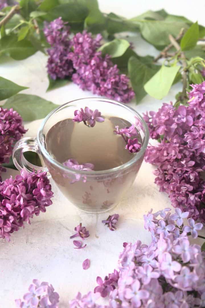 Lilac Tea Recipe from Fresh Lilac Flowers SimplyBeyondHerbs