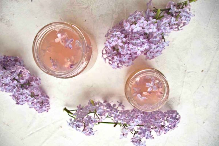 Make Lilac Jelly A Fragrant Delicacy SimplyBeyondHerbs