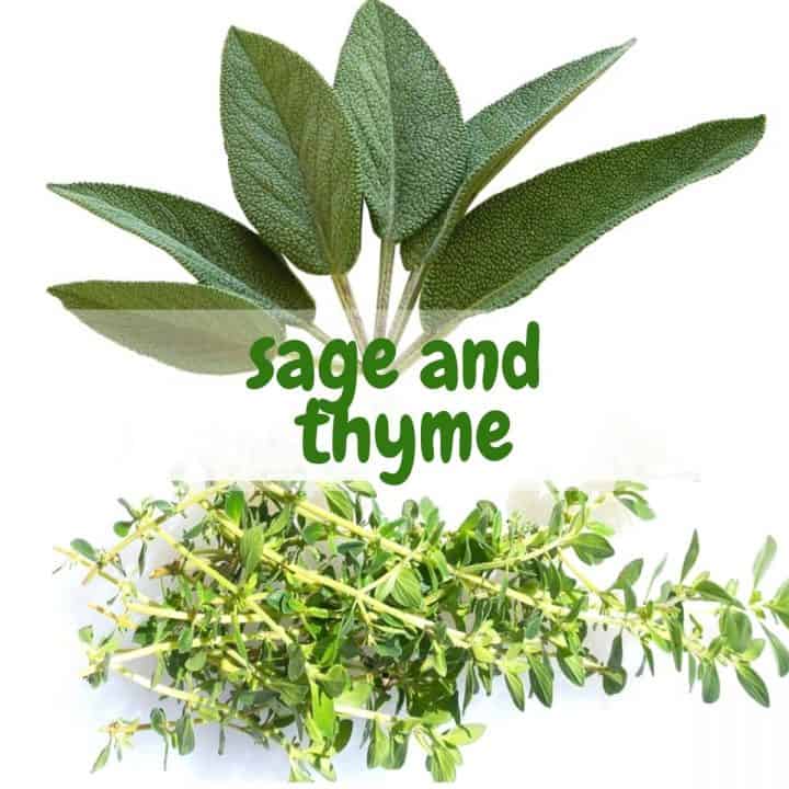 Thyme and Sage From Kitchen to Medicine SimplyBeyondHerbs