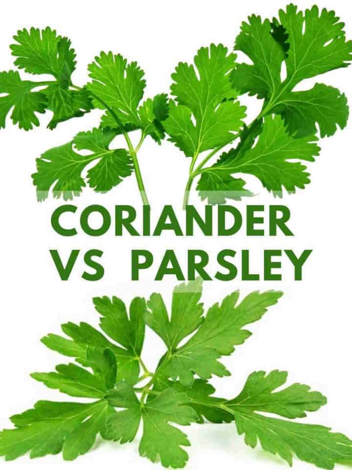 Herbs Archives SimplyBeyondHerbs