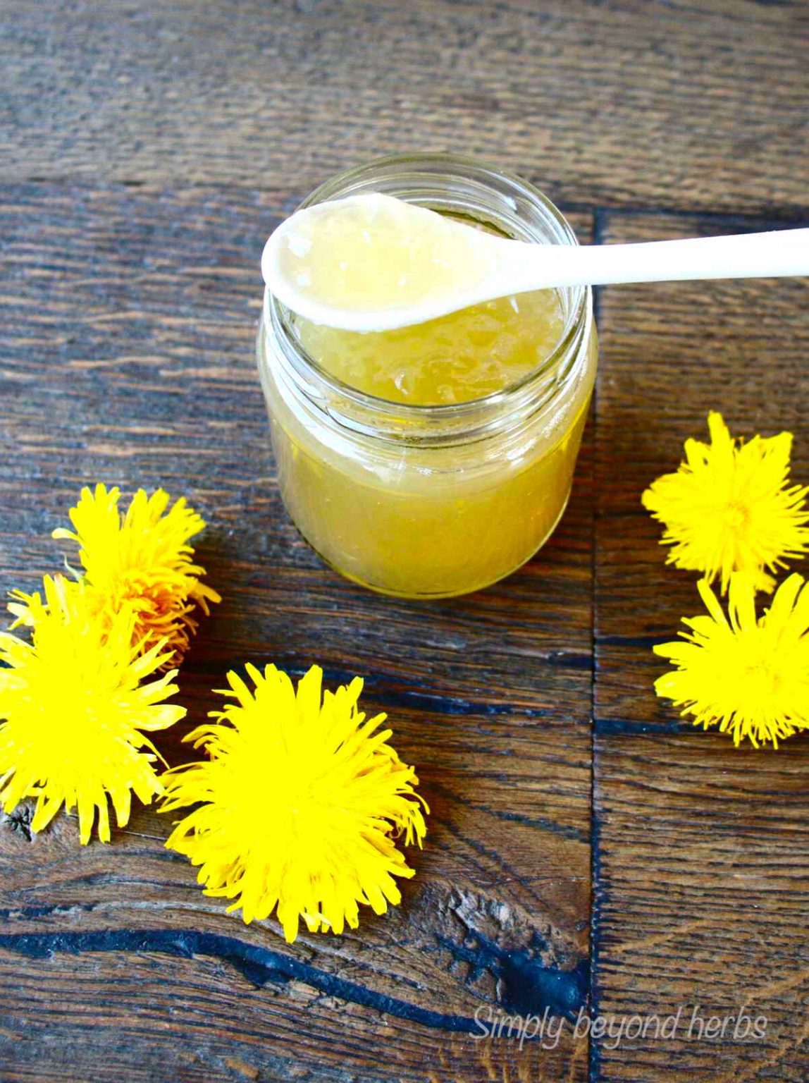 Wild and Delicious Dandelion Jelly recipe SimplyBeyondHerbs