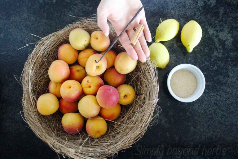 Apricot preserves recipe One apricot jam jar batch SimplyBeyondHerbs