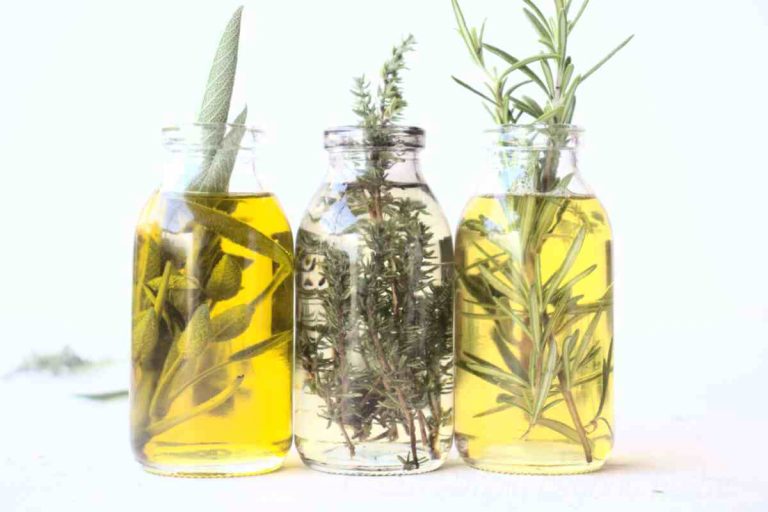 Thyme vs Oregano 10 Key Differences SimplyBeyondHerbs