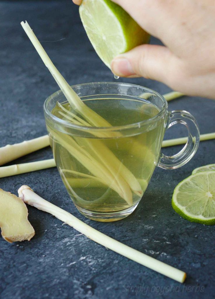 How to make Lemongrass Tea SimplyBeyondHerbs