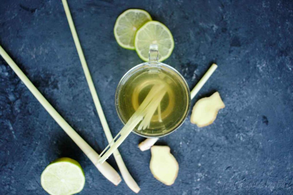 How to make Lemongrass Tea SimplyBeyondHerbs