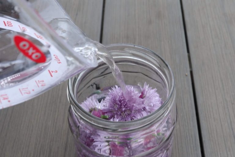 Make Chive Blossom Vinegar infusion. SimplyBeyondHerbs