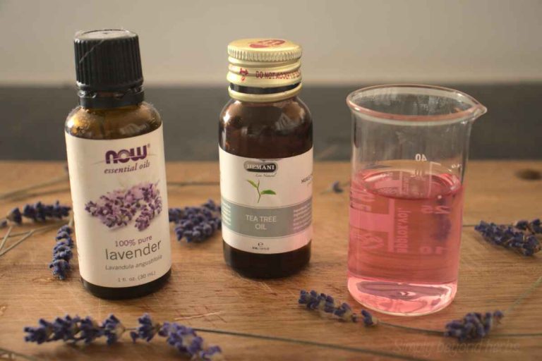 Homemade bed bug spray get rid of bed bugs fast SimplyBeyondHerbs