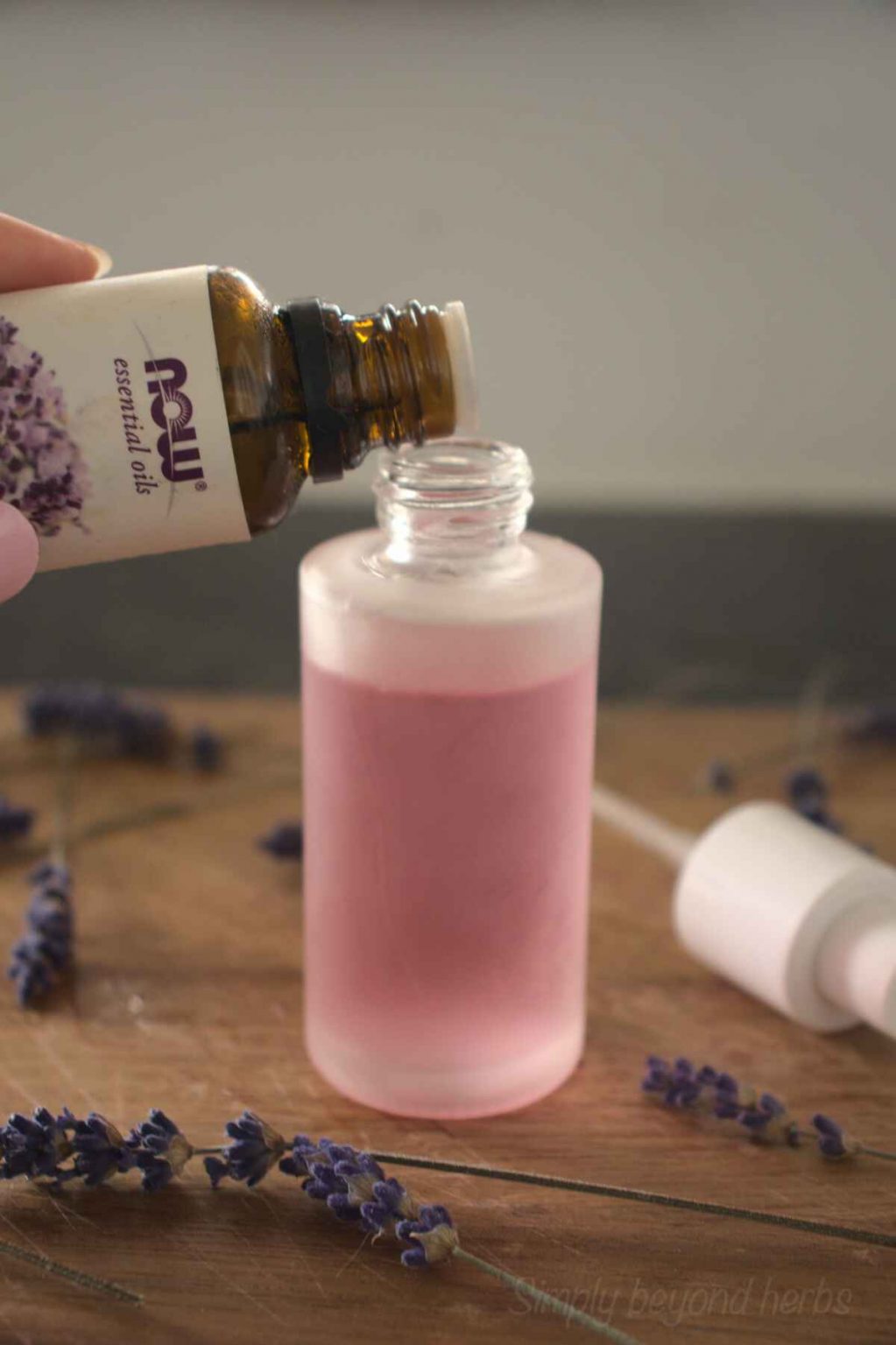 The Absolute Best Homemade Bed Bug Spray - A-Z Animals