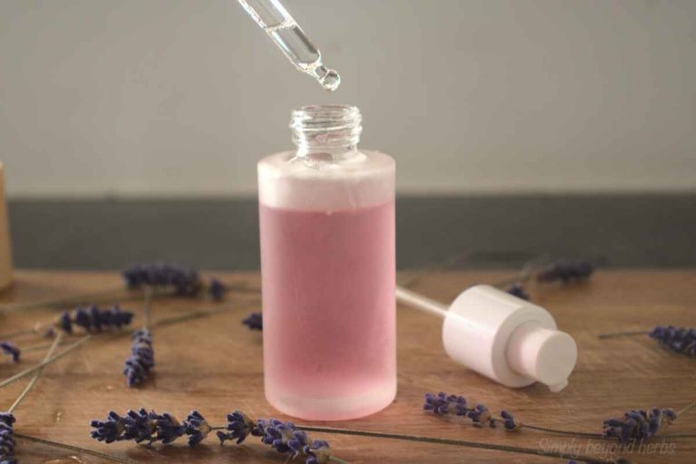 Homemade bed bug spray get rid of bed bugs fast SimplyBeyondHerbs