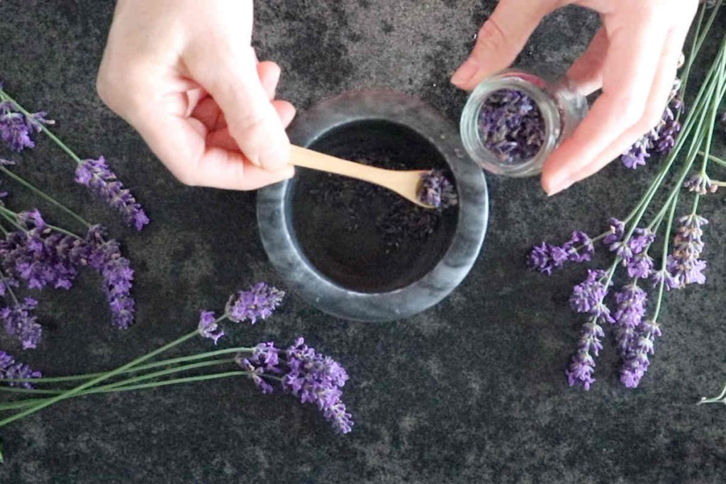 Homemade bed bug spray get rid of bed bugs fast SimplyBeyondHerbs