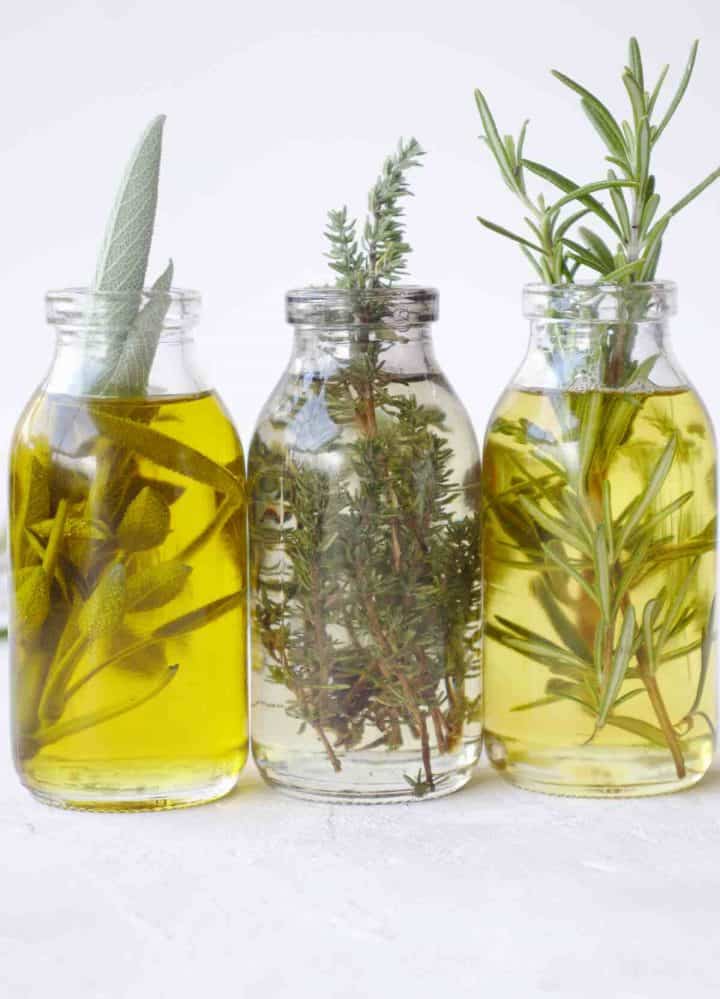 Marjoram vs Oregano 10 Key Differences between oregano and marjoram