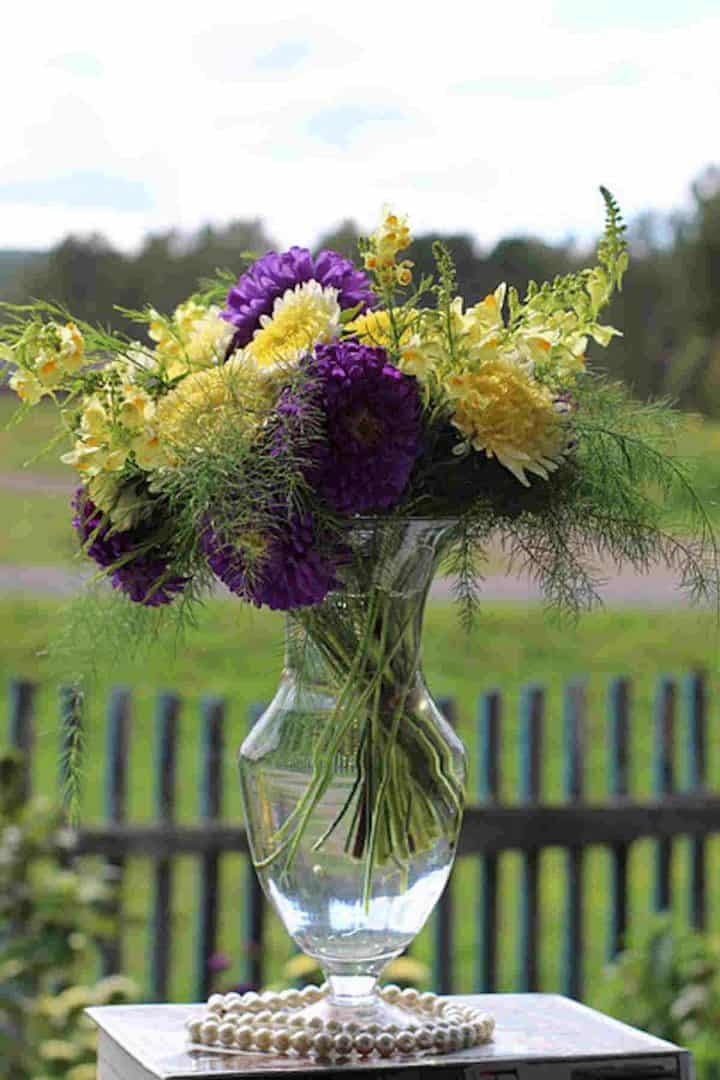 Unlocking the Secrets of Aster Flower Meaning and Symbolism