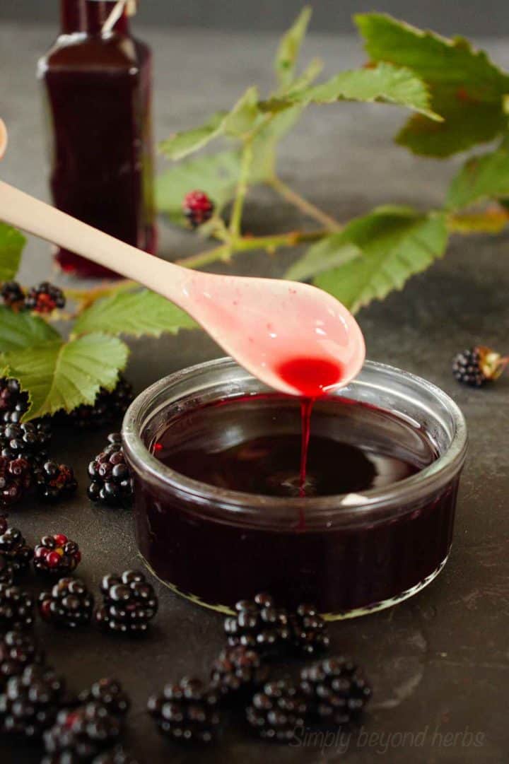 Wild Blackberry Simple Syrup Recipe for Cocktails SimplyBeyondHerbs