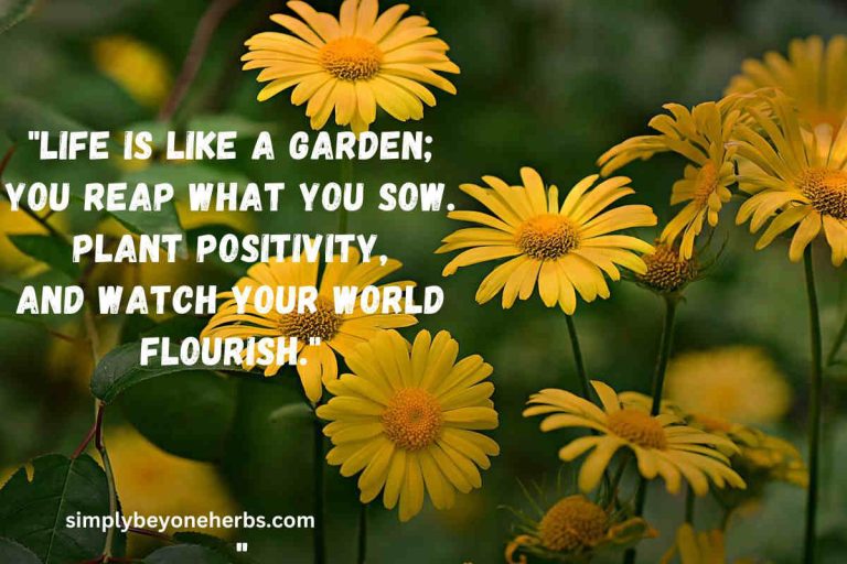 370 Yellow Flower Quotes and Captions SimplyBeyondHerbs