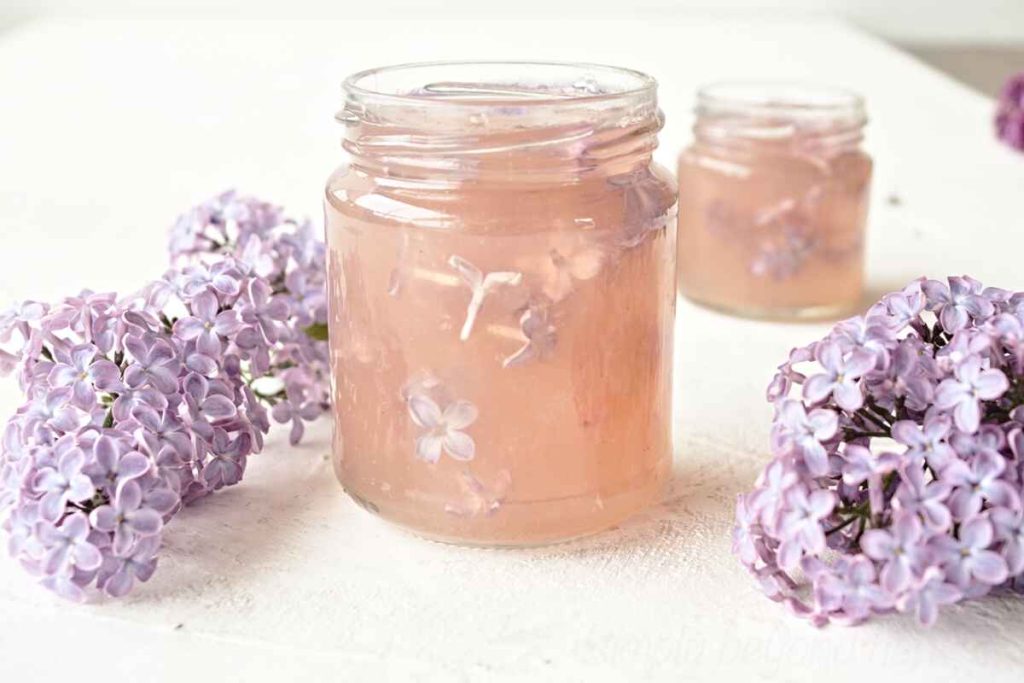 Are Lilacs Edible? 20+ Delicious recipes to eat Lilac flowers