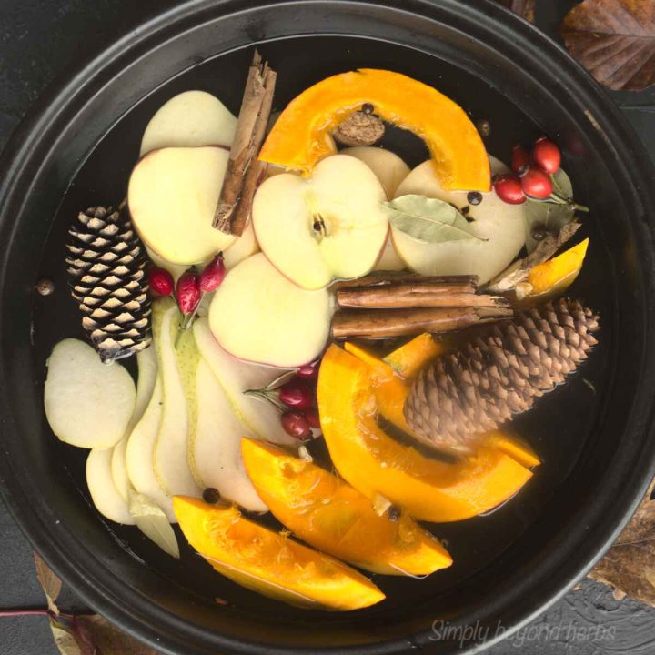 Cozy Fall Simmer Pot Recipe To Make Your Home Smell Like Fall cozy-fall-simmer-pot-recipe-to-make-your-home-smell-like-fall